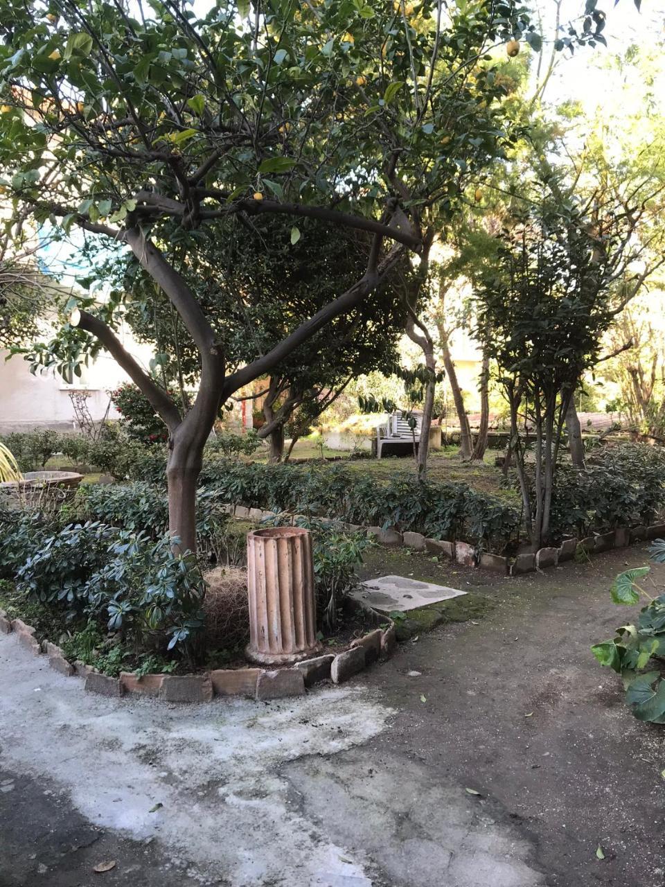 Il Giardino Di Vico Neve Bed & Breakfast Napoli Eksteriør bilde
