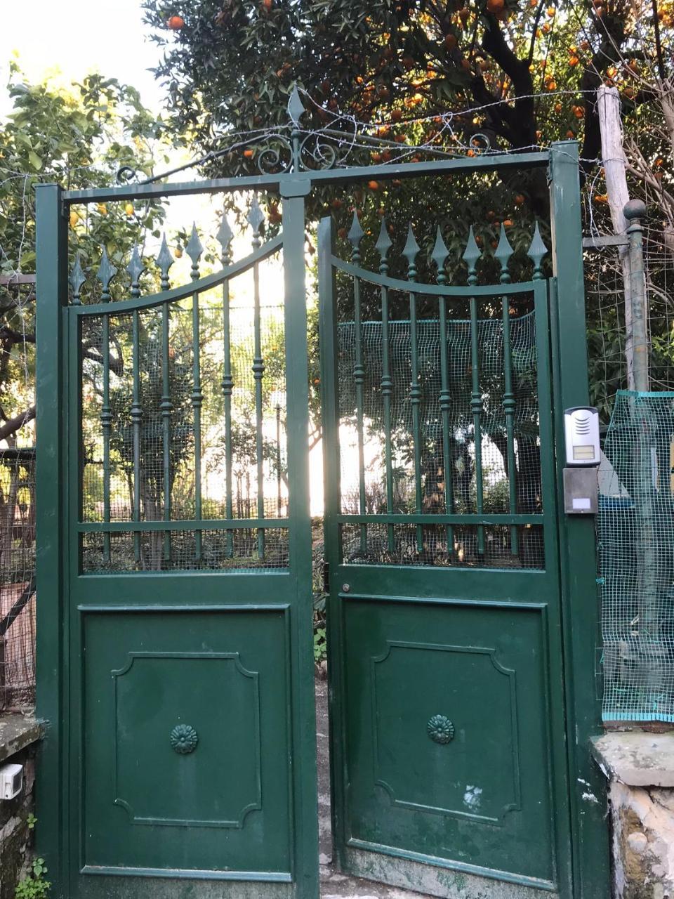 Il Giardino Di Vico Neve Bed & Breakfast Napoli Eksteriør bilde